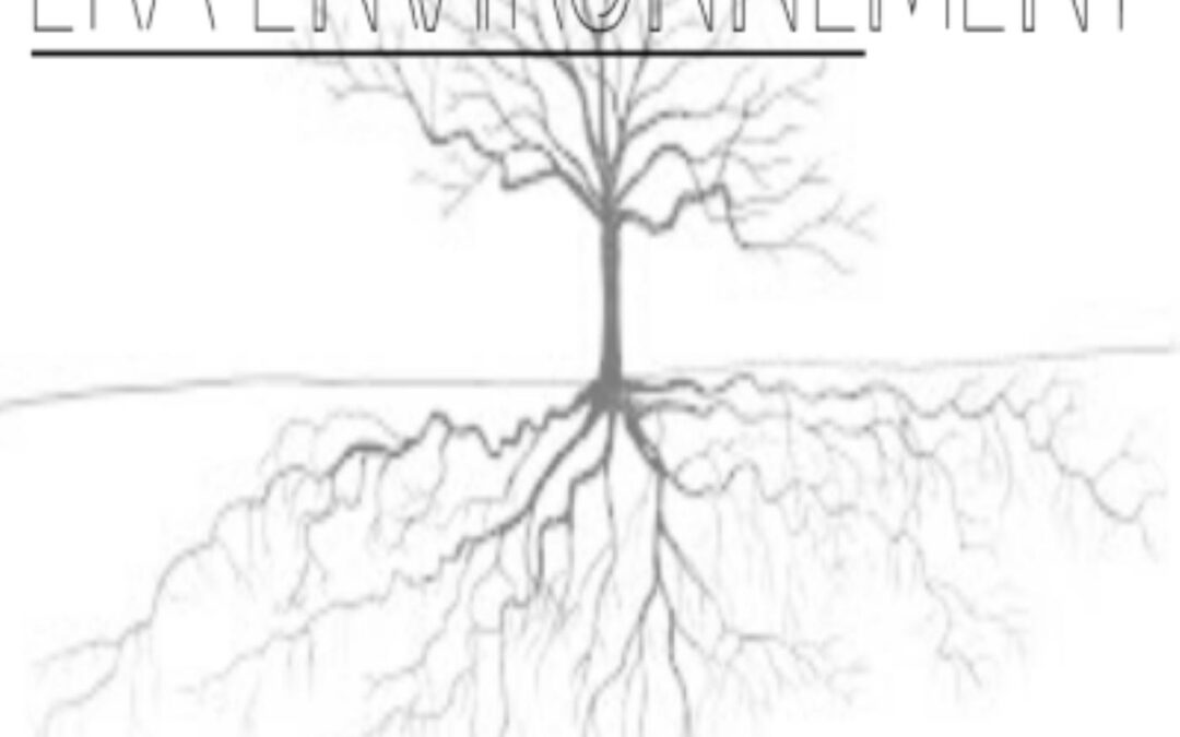 ERA ENVIRONNEMENT – Forum sur les enjeux sécuritaires des changements climatiques